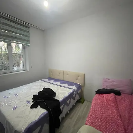 Aydin City Center House