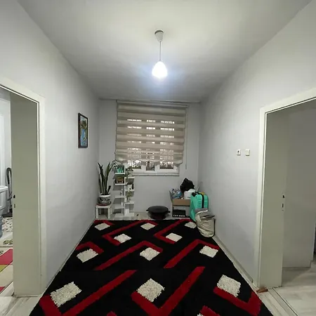 Appartement Aydin City Center House *